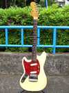 MUSTANG LEFTY 1.jpg